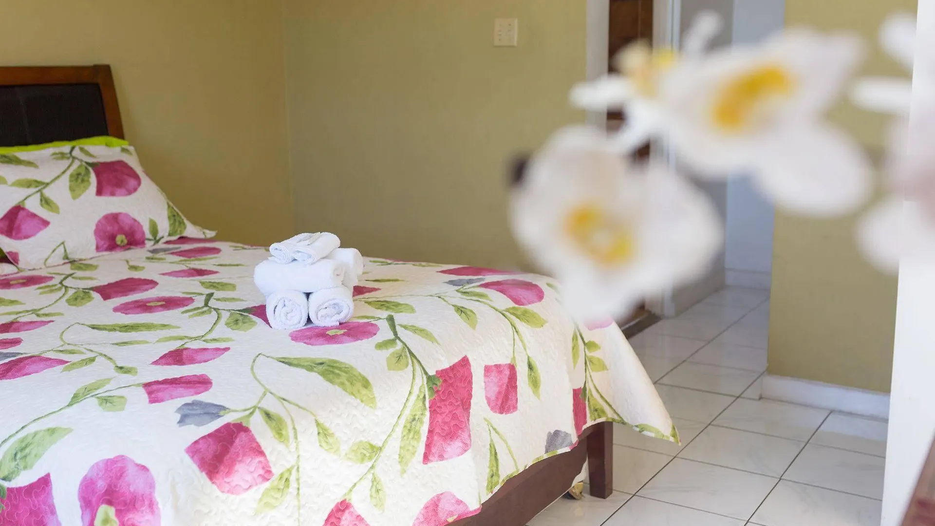 New Kingston Ca Guest Apartment VI 0*,
